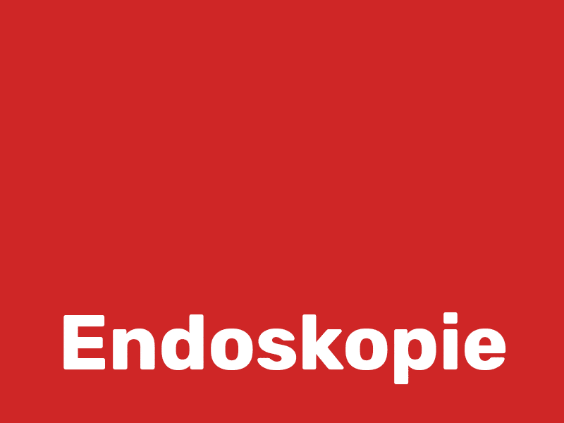 endoskopie